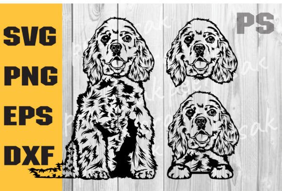 American Cocker Spaniel SVG, Dog SVG
