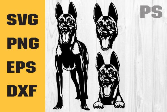Belgian Malinois Svg for Real Projects