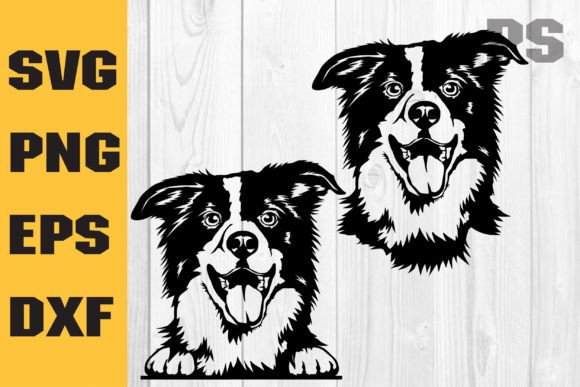 Border Collie Svg, Dog Svg: A Practical Embroidery Design Review