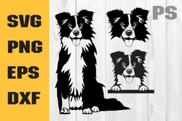 Border Collie Svg for Real Projects