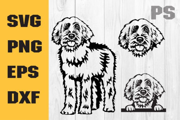 Cute Labradoodle Svg for Embroidery