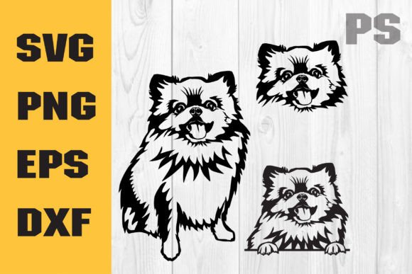 Pomeranian Svg for Cricut