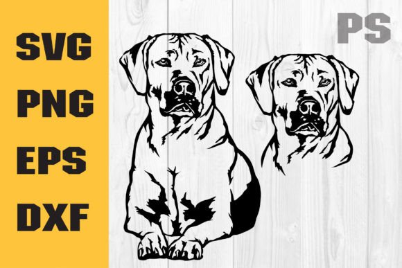 Rhodesian Ridgeback Svg